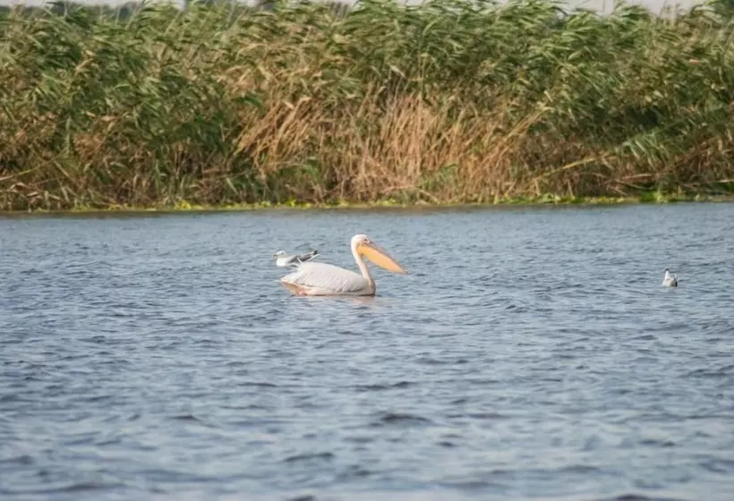 Отель Delta Nature Resort