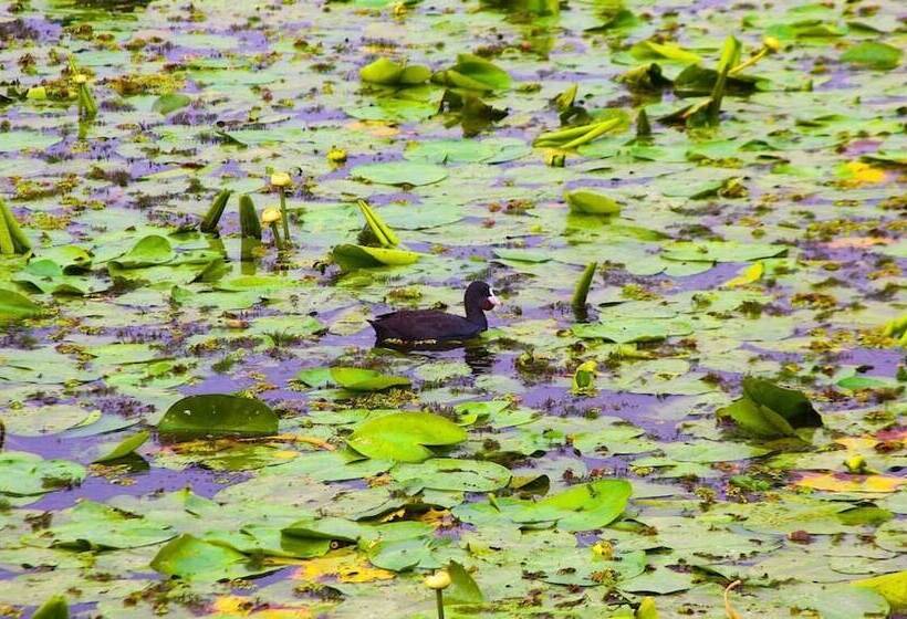 Hotel Delta Nature Resort