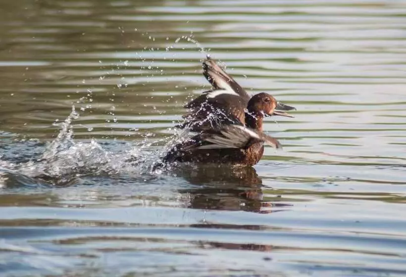 Отель Delta Nature Resort