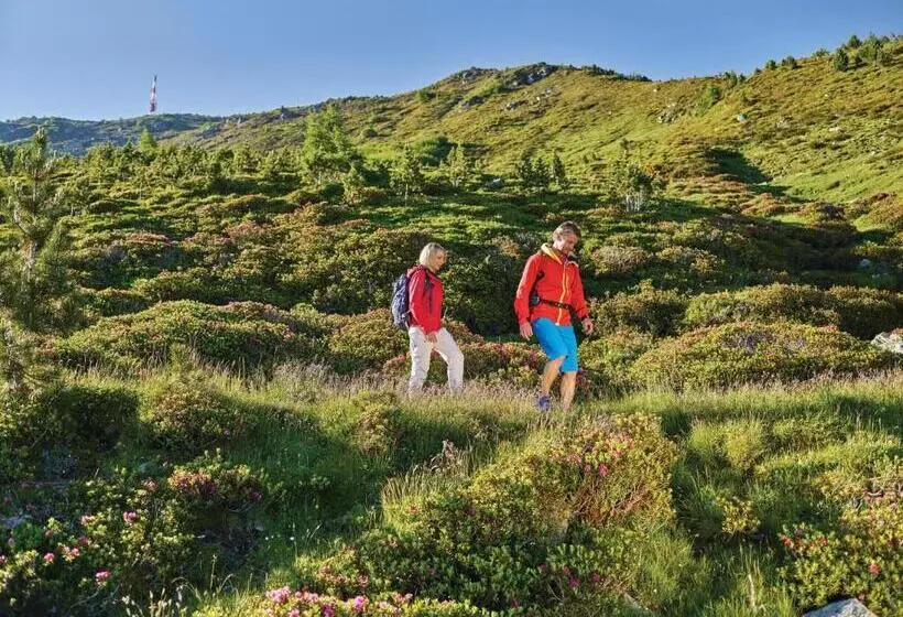 호텔 Garni Römerhof