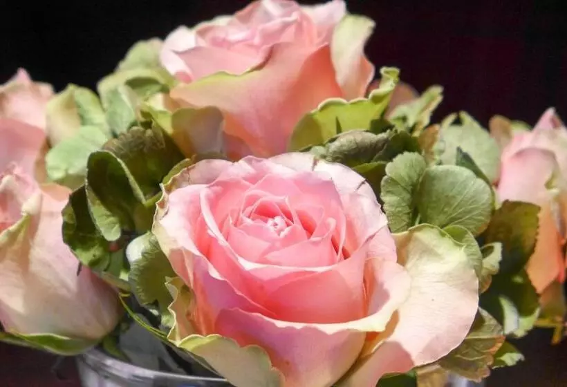 호텔 Garni Römerhof