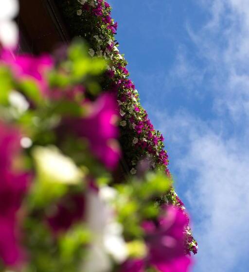 בית מלון כפרי Garni Römerhof