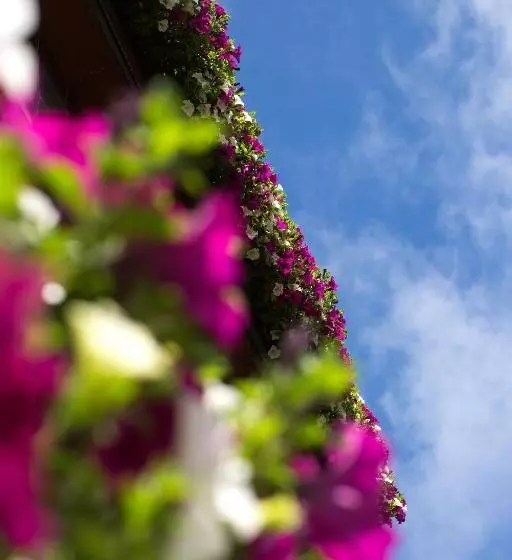 호텔 Garni Römerhof