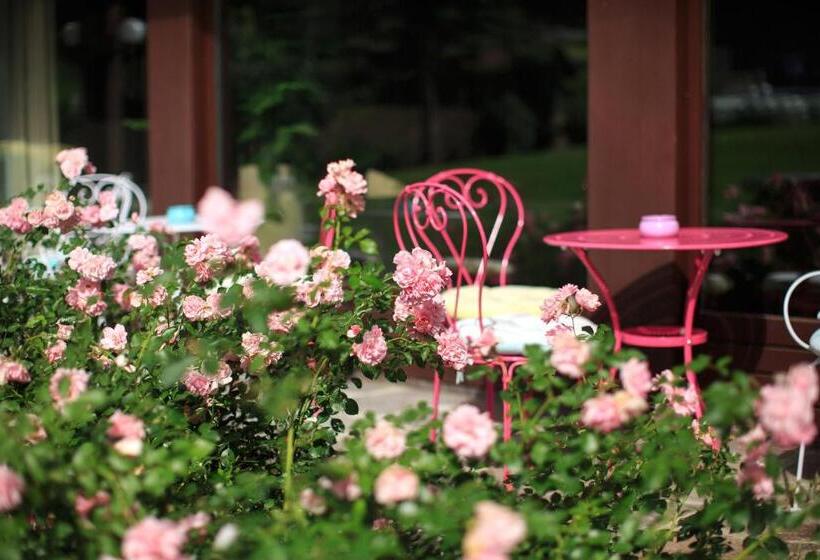 酒店 Garni Römerhof