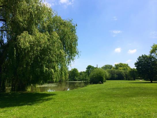 Отель Haus Stallmeister