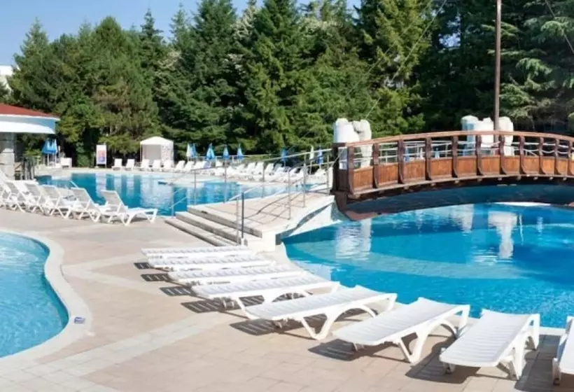 ホテル Magnolia   All Inclusive