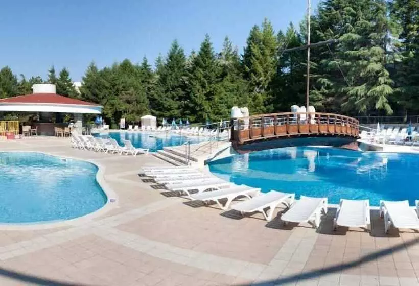 ホテル Magnolia   All Inclusive