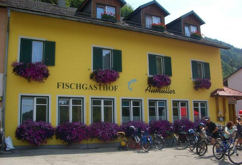 Общежитие Fischgasthof Aumüller