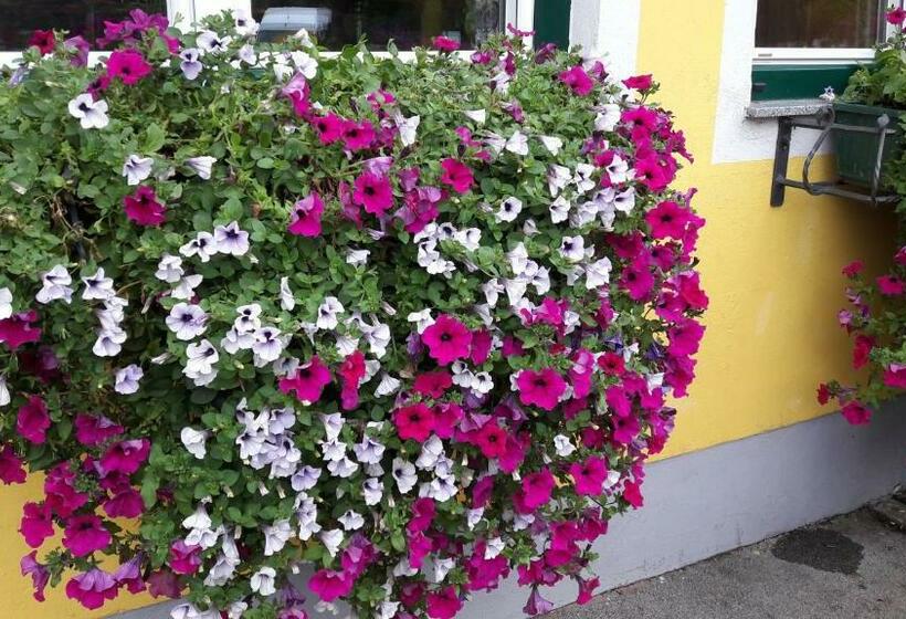 Общежитие Fischgasthof Aumüller