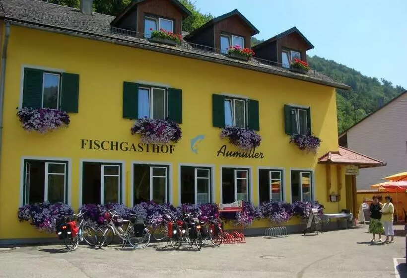 ユースホステル Fischgasthof Aumüller