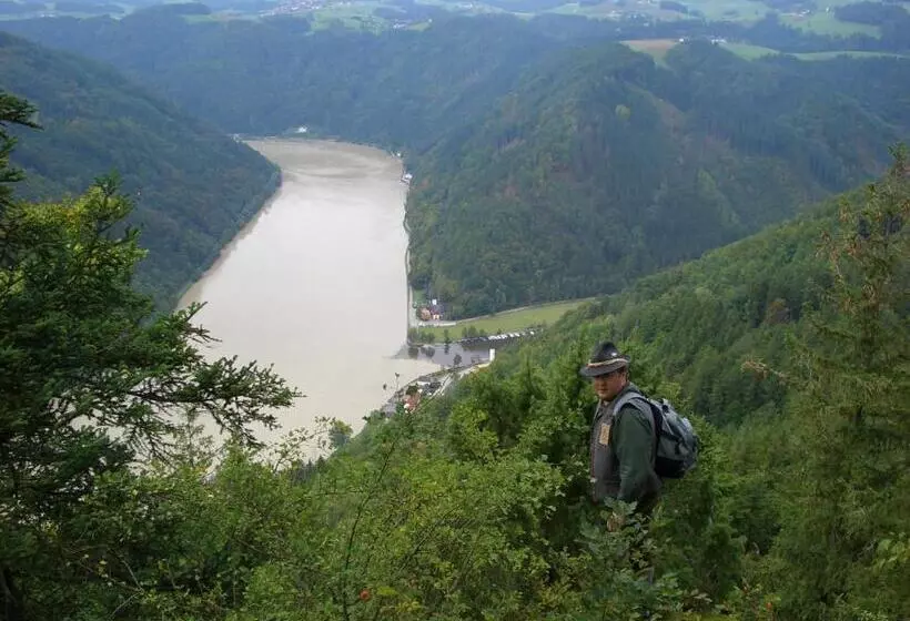 ユースホステル Fischgasthof Aumüller