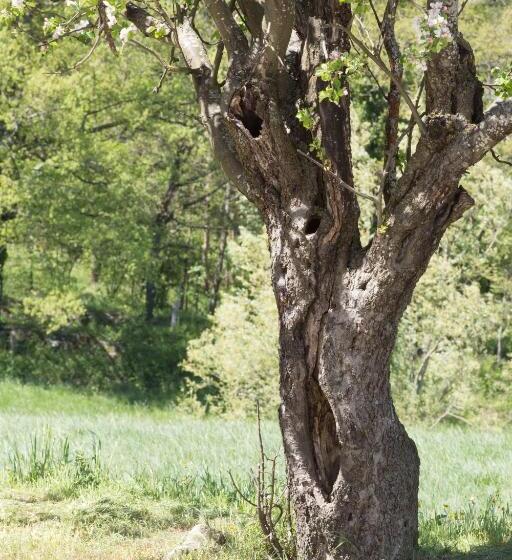 בית מלון כפרי Agriturismo I Fondacci