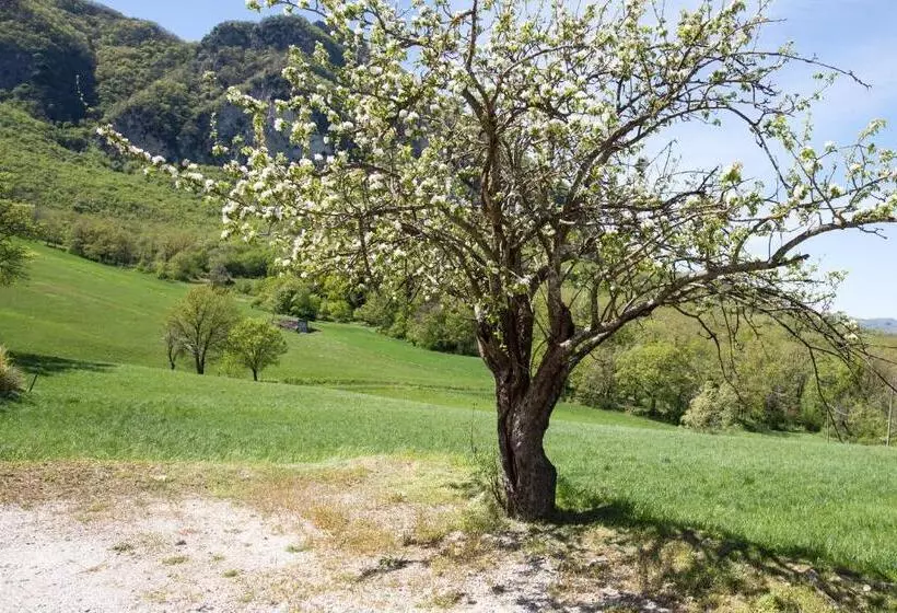 ホテル Agriturismo I Fondacci