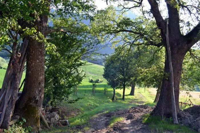 ホテル Agriturismo I Fondacci