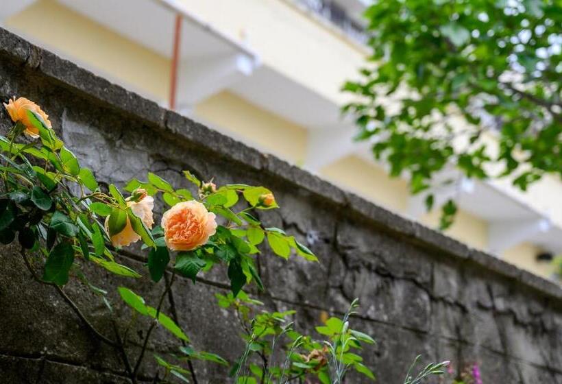 فندق Effect Saint Mina