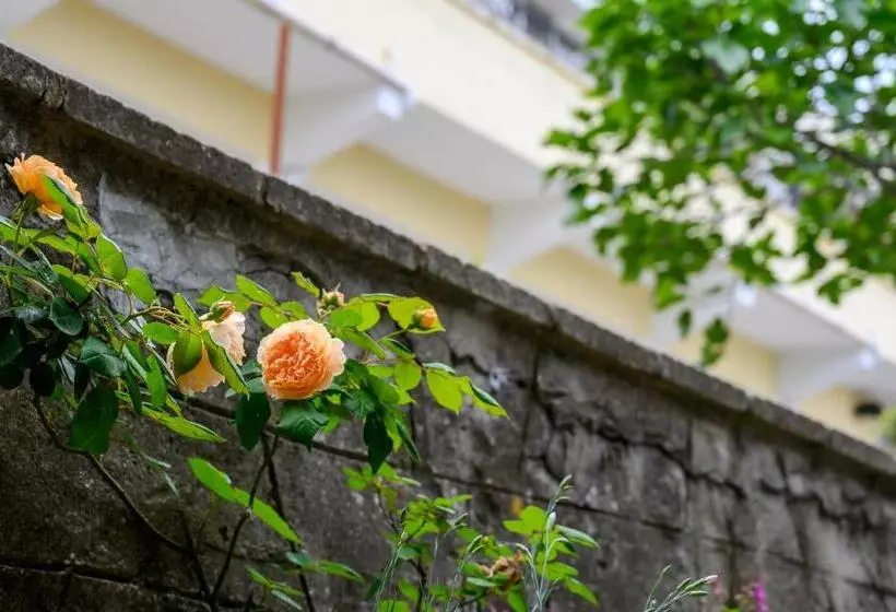 Hotelli Effect Saint Mina