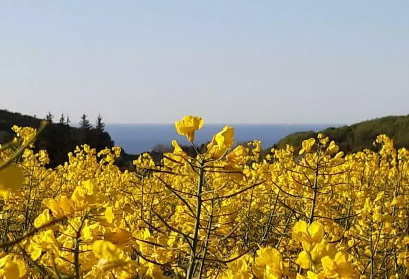 Majatalo Ferienwohnung Im Nationalpark Jasmund