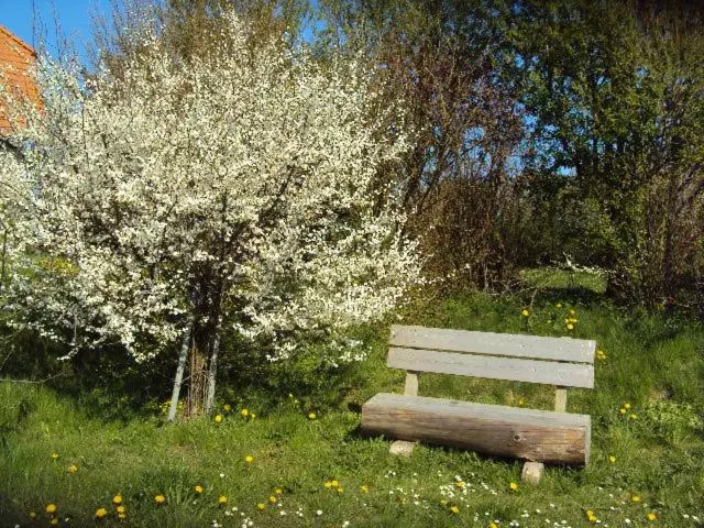 Majatalo Ferienwohnung Im Nationalpark Jasmund