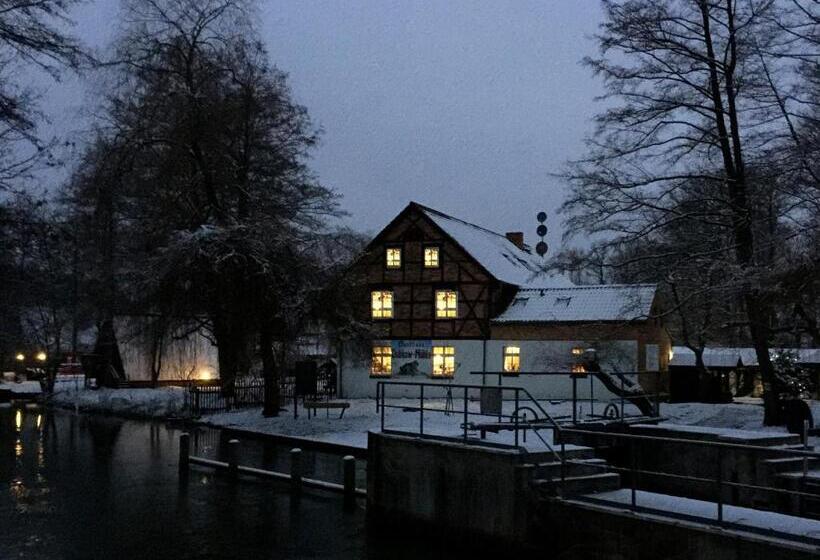 پانسیون Gasthaus Dubkow Mühle