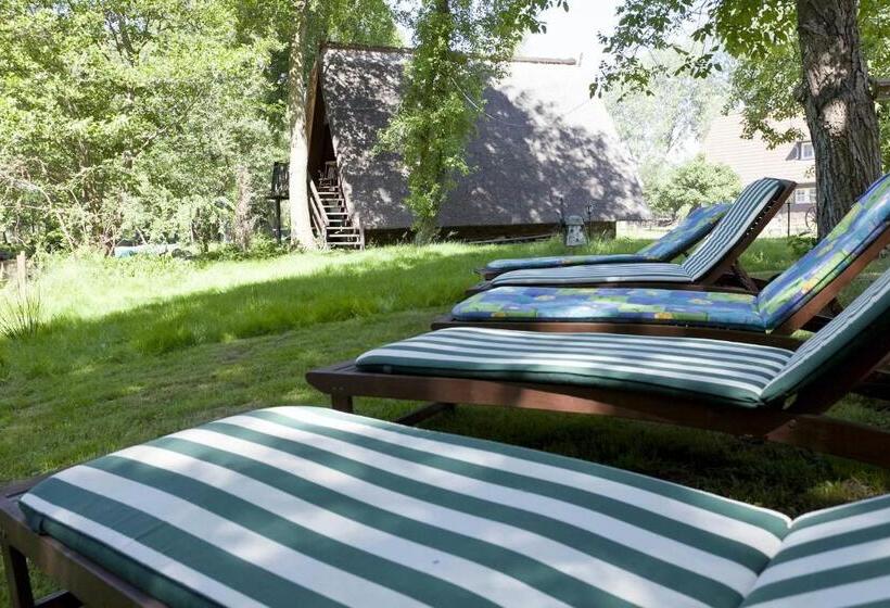 پانسیون Gasthaus Dubkow Mühle