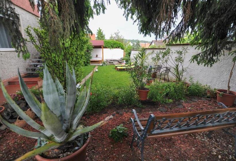 膳宿费 Oázis Vendégház