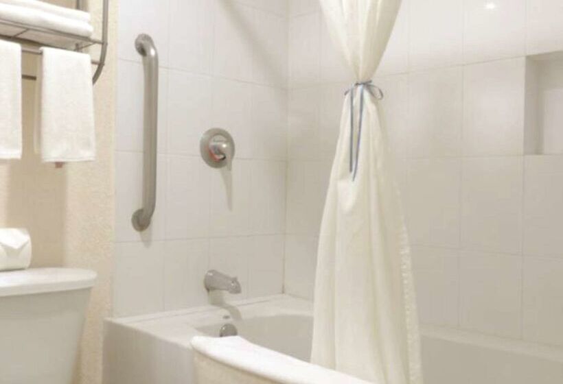 酒店 Best Western Real Tula Express