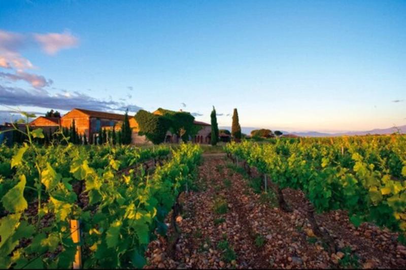 Hotel Ibis Styles Perpignan Canet En Roussillon