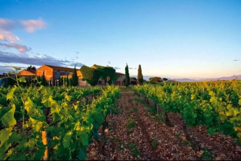 Hotel Ibis Styles Perpignan Canet En Roussillon