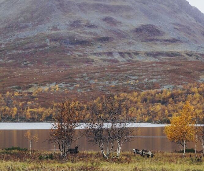 Lapland Hotels Kilpis