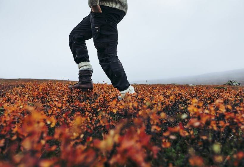 Lapland Hotels Kilpis