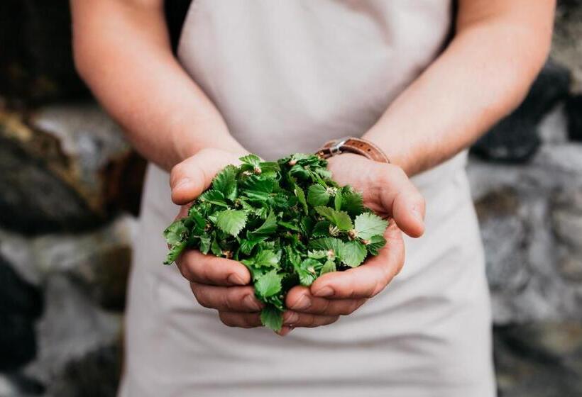 Lapland Hotels Kilpis