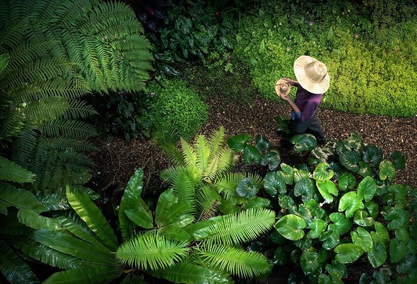 هتل Rati Lanna Riverside Spa Resort