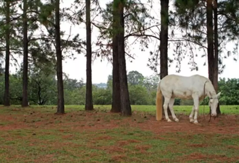 호텔 San Raphael Country