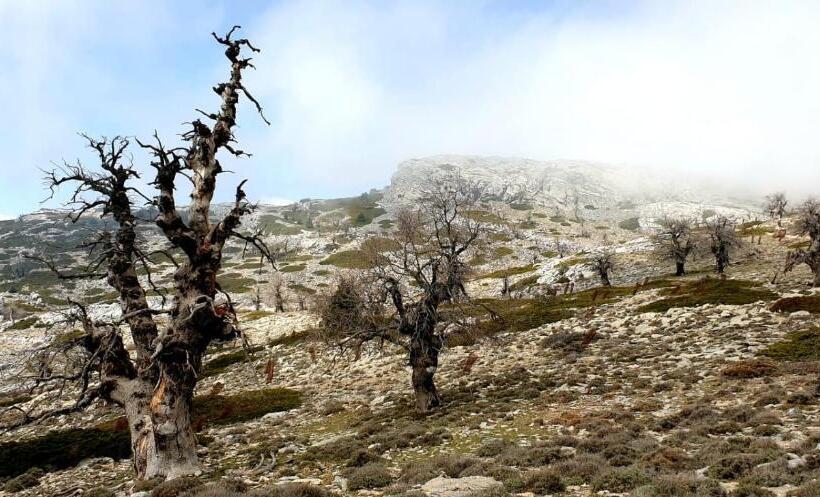 هتل Sierra Hidalga