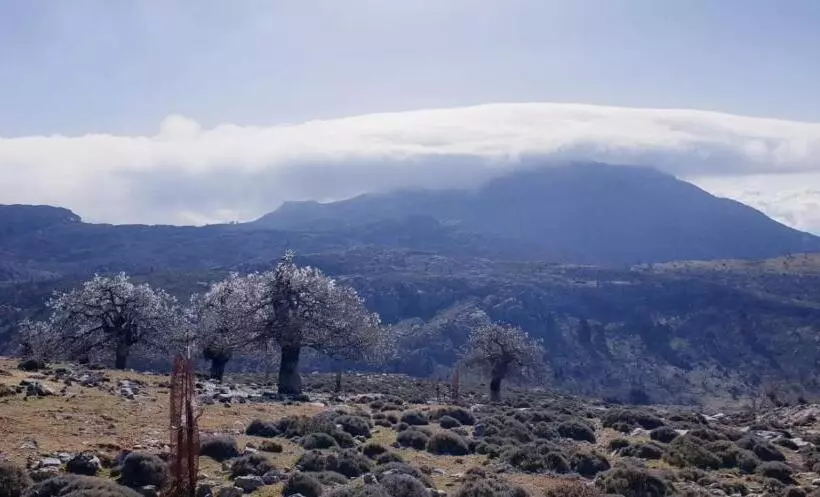 בית מלון כפרי Sierra Hidalga