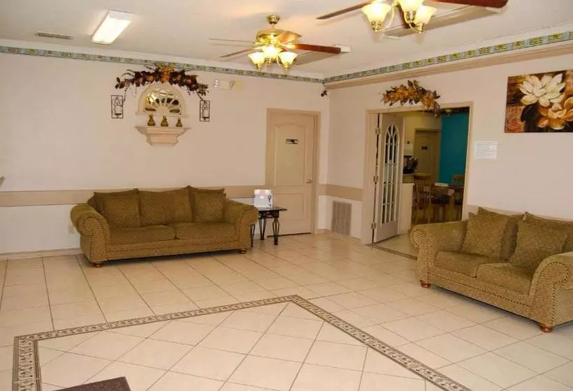 汽车旅馆 Texas Inn And Suites City Center At University Dr