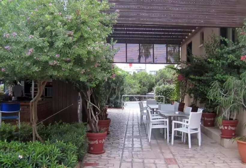 Senator Hotel Apartments   Adults Only