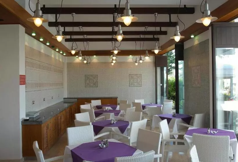 Senator Hotel Apartments   Adults Only