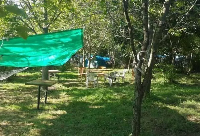 ホテル Cesmi Cakraz   Glamping