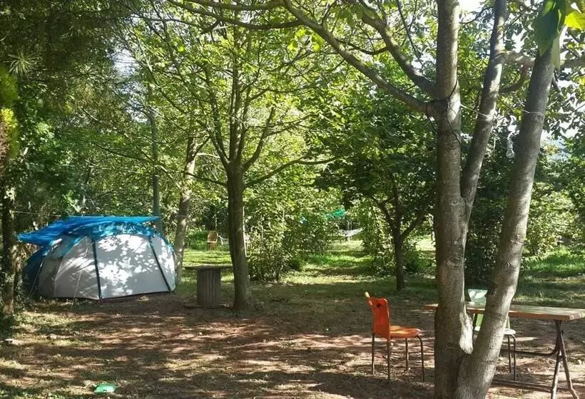 ホテル Cesmi Cakraz   Glamping
