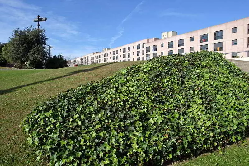 Apartamentos Vila Universitaria