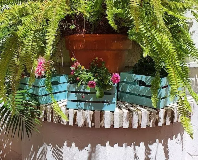 Hostal El Nogal Home