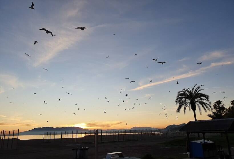 Hostal El Nogal Home