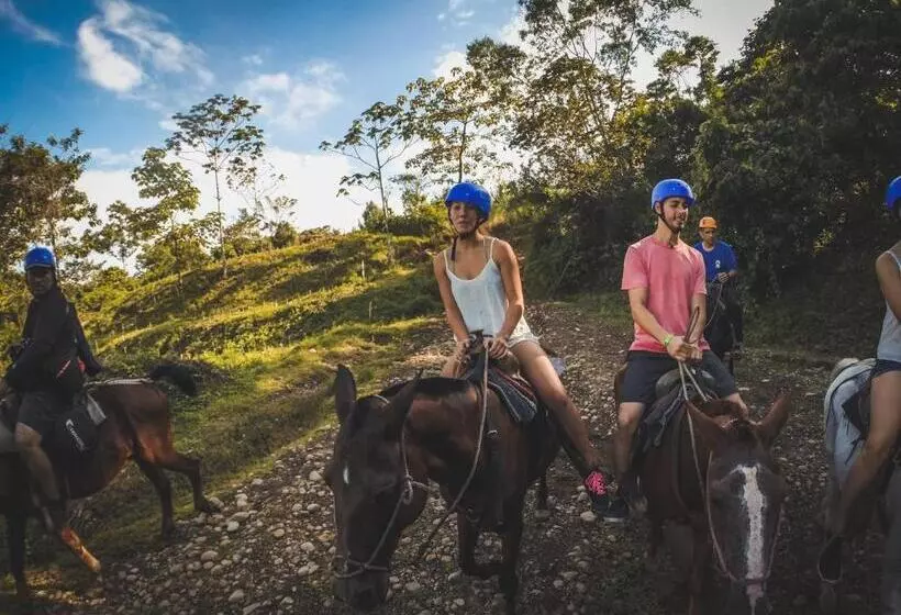 فندق Arenal Country Inn