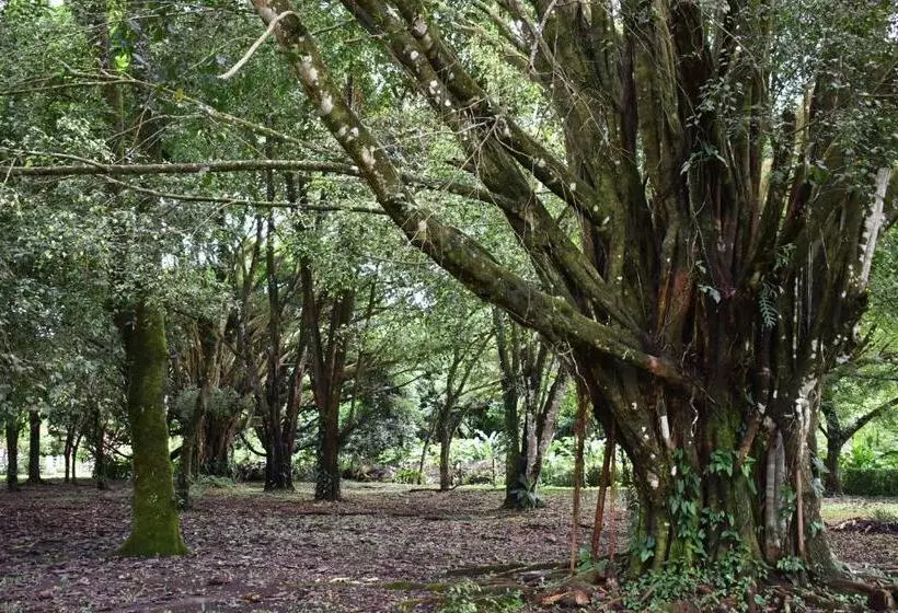 فندق Arenal Country Inn