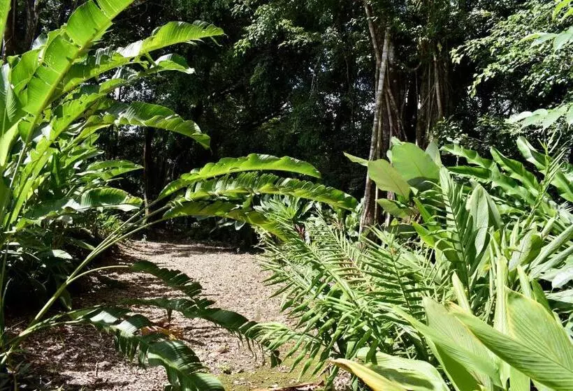 فندق Arenal Country Inn