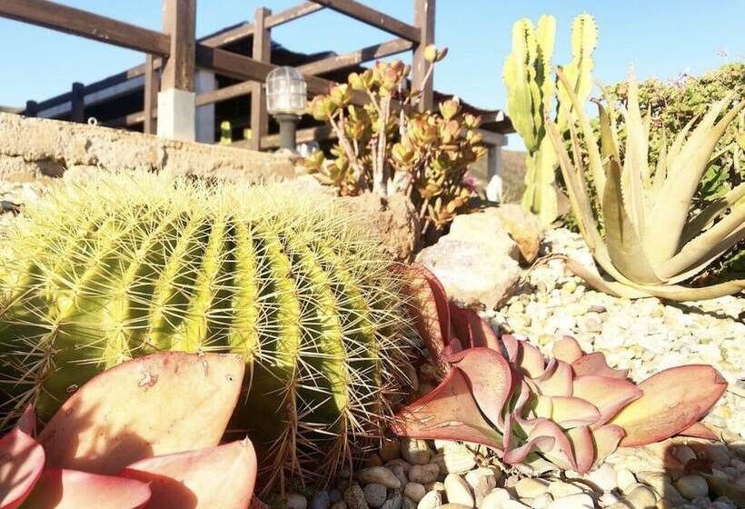 ホテル Cortijo El Paraiso