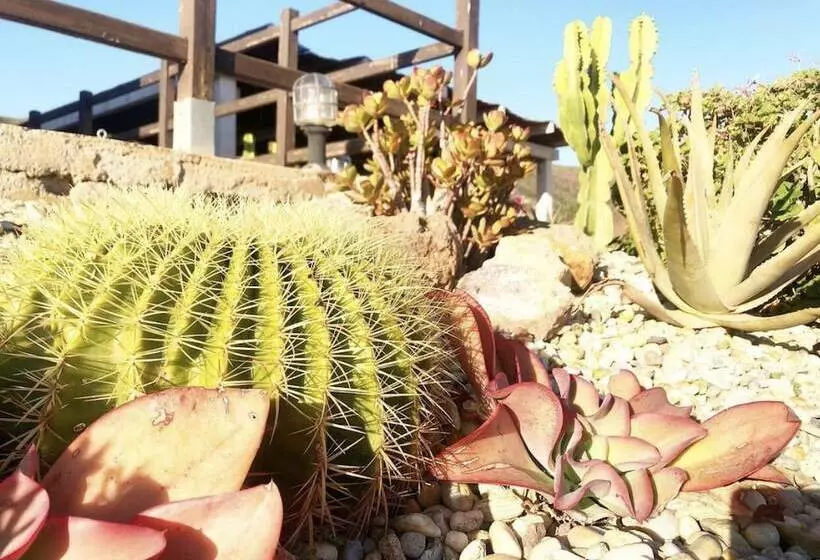 فندق Cortijo El Paraiso