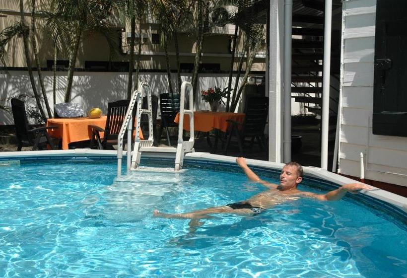 Hotel Guesthouse Albergoalberga