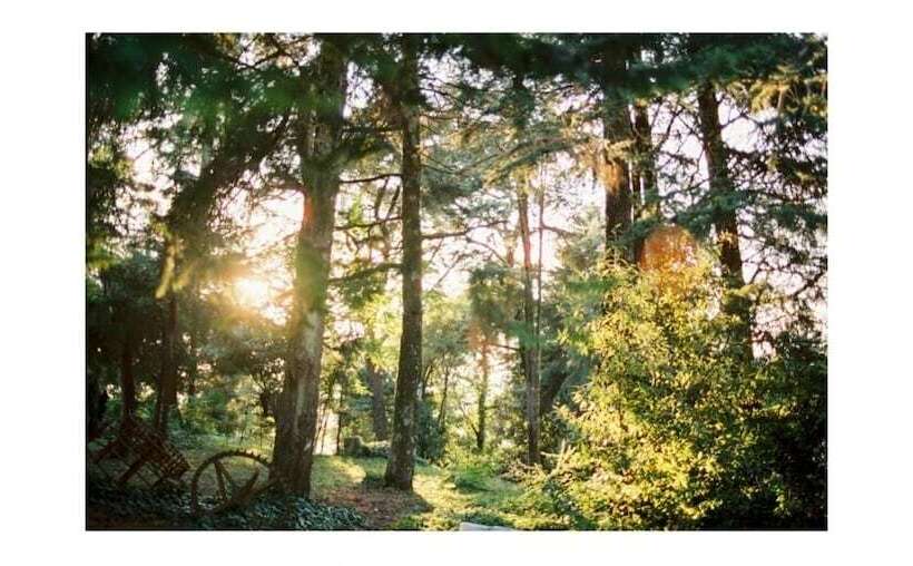 Сельский отель Glicínia Boutique